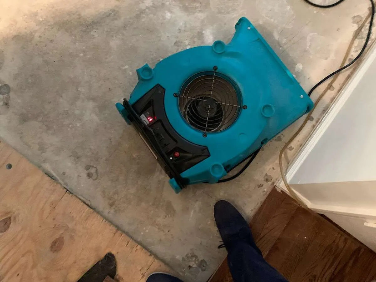 Air mover drying subfloor during Commercial Water Damage Restoration in Nutley