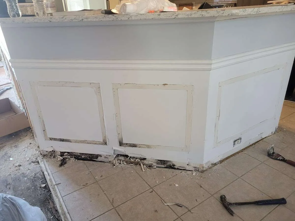 Water damage and mold on kitchen during Sewage Cleanup & Sanitation in Nutley